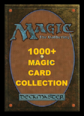 1000+ Magic Card Collection including Rares and Foils